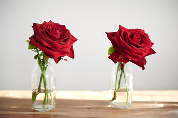 Rote Rosen stehen in einer Reihe vor einer weißen Wand auf einem braunen Holztisch