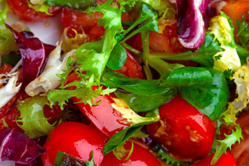 fresh vegetable salad with tomatoes