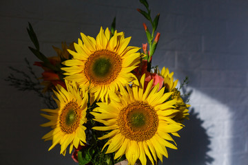 Still life with Sunflowers.