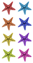 Fototapeta na wymiar Set of starfish in different colors