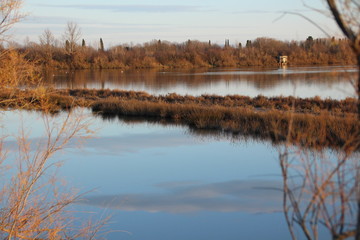 PAESAGGIO INVERNALE CON FENICOTTERI