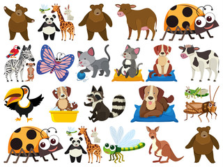 Set of isolated objects theme animals