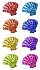 Set of seashells in different colors