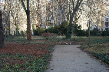 Fototapeta na wymiar Areal des Alten Jüdischen Friedhofs in der Großen Hamburger Straße (Berlin)