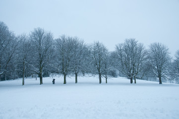 Snow in Wakefield Thornes Park