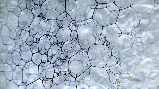 Colorful soap foam with popping bubbles background. Ink filling a mass of bubbles formed in liquid. Abstract biological structure. Unusual wallpaper. Huge batch of puffy, fascinating soap foam pattern