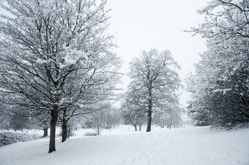 Wakefield Thornes Park