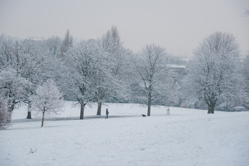 Wakefield Park in the Snow