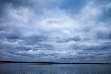 Pochmurny dzień nad jeziorem, na niebie ptak