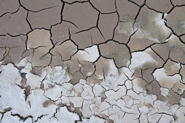 Trockenrisse in einem lehmigen Boden