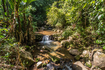 Kathu Waterfall in the tropical forest area In Asia, suitable for walks, nature walks and hiking, adventure photography Of the national park Phuket Thailand,Suitable for travel and leisure.