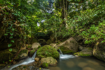 Obraz premium Kathu Waterfall in the tropical forest area In Asia, suitable for walks, nature walks and hiking, adventure photography Of the national park Phuket Thailand,Suitable for travel and leisure.