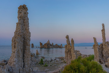 Beautiful tufa in mono lake, California
