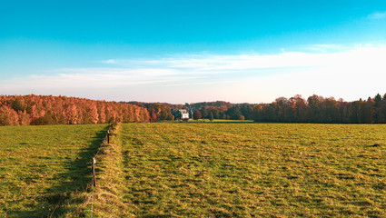 House on a background of autumn forest.