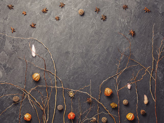 A composition of dried flowers and plants is on a dark textured background. In the center there is an empty place.