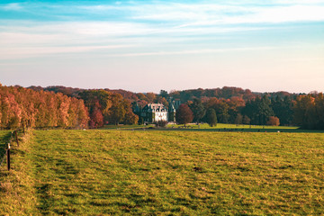 Fototapeta premium House on a background of autumn forest.