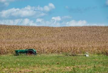 Abandoned green tractor by the edge of growing field of corn or wheat with interesting layered pattern