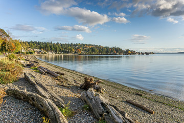 Shoreline Near Ferry Terminal 2