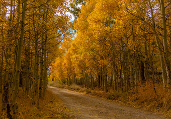 Obraz premium Kolory jesieni jeziora Lundy, Kalifornia