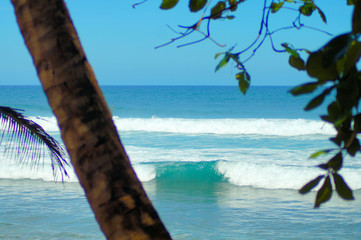 Tropical pristine beaches with powerful barreling waves and surf