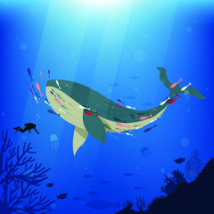 Beautiful Vector Whales and underwater divers.