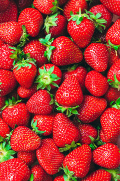 a lot of ripe juicy shiny red strawberries - food background