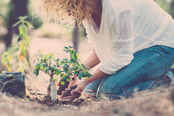 Environment and care for the planet and nature forest concept with lady seeding a new tree on the...