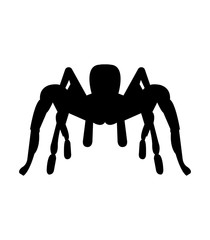 silhouettes of tarantula