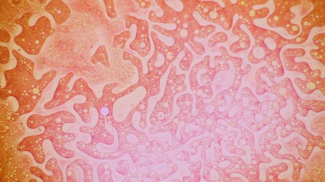 Fantastic structure of golden bubbles. Scientific experiment, chemical reactions. Chaotic motion, bubble flow expansion, curlicue of paints. Psychedelic liquid light show, ink patterns in water + oil.