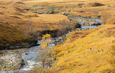 Autumn Colour surrounds river in Glen Etive near Glencoe Highlands Scotland