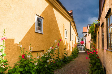 Fototapeta na wymiar street Flowers of Visby. Gotland. Sweden
