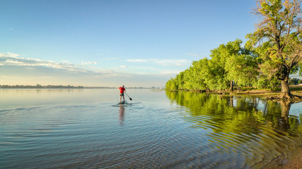Fototapeta na wymiar paddling stand up paddleboard on a lake