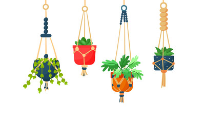 Collection of hanging macrame plants in pots for interior. Flat cartoon vector illustration on white background