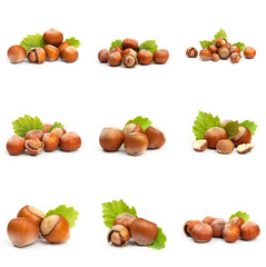 Set of Hazelnut nut many leaves isolated on a white background as a packaging design element