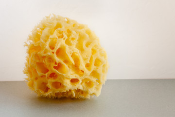 Natural bath sponge at bright background (white and gray) with copy space on the right side. Object...