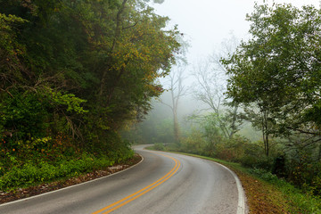 Fototapeta premium Road winding through trees on a misty foggy morning. 