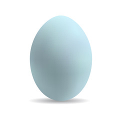 Blue egg - 3d picture. Vector illustration.