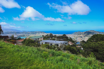 Fototapeta na wymiar View over the capital Wellington from Mount Victoria, North Island, New Zealand