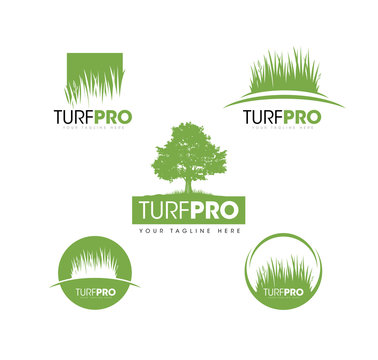 Turf Lawn And Garden Care Company Creative Design Element. Vector Grass And Tree Icon Set For Landscaping Company