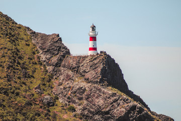 Fototapeta na wymiar Cape Palliser lighthouse, North Island, New Zealand