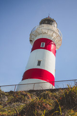 Cape Palliser lighthouse, North Island, New Zealand