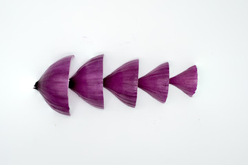 red onion on white background