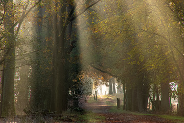 Totengrund L&uuml;neburger Heide