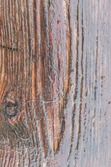 Old Weathered Wet Brown Wood Texture