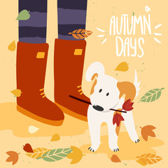 Woman in gumboots playing with dog in fall and lettering autumn days. Illustration is for your card, poster, flyer.