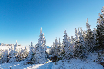 Winter in Glacier Park