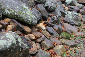 river bed rocks