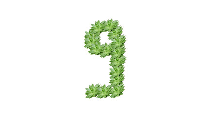 9 en chiffre vert ,plante sur fond blanc
