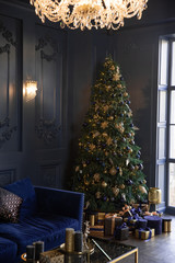 Christmas tree by the window in a stylish living room with dark blue walls