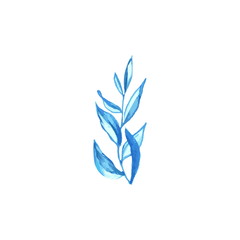 Blue watercolor leaves clipart